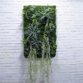 仿真挂画空气草苔藓墙壁装 饰定制设计屏风立体假软装