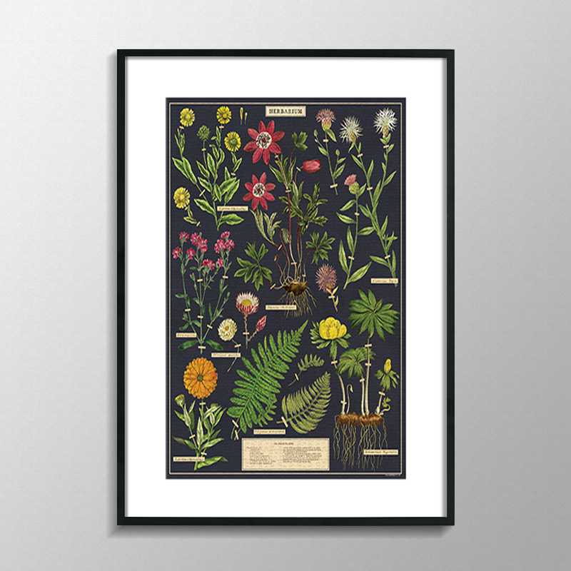 Cavallini植物花卉蝴蝶1000片500片拼图框架裱框70*55*35画框相框