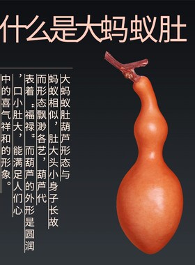 葫芦文玩葫芦大异形蚂蚁肚精品葫芦天然真龙白皮烙画