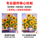 数字油画填充油彩挂画定制填色涂色解闷手工风景梵丰收名画