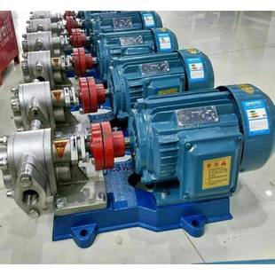 1.45 KCB 1.1 2CY 齿轮油泵齿轮泵直销质量保证 33.3