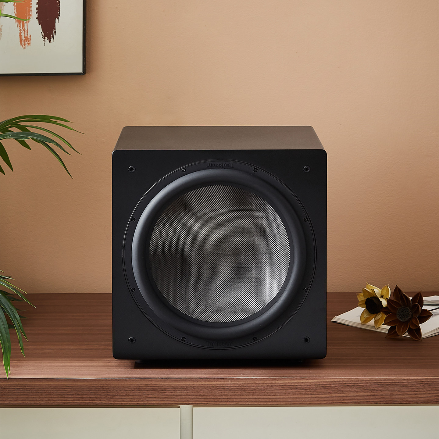 Taulssen淘声T15 第二代15寸有源密闭低音炮家庭影院hifi超重低音