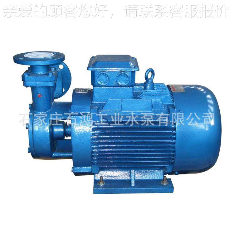 厂家直销高扬程旋涡 泵 单悬臂式旋吸涡 BIZ泵轴联式旋涡泵