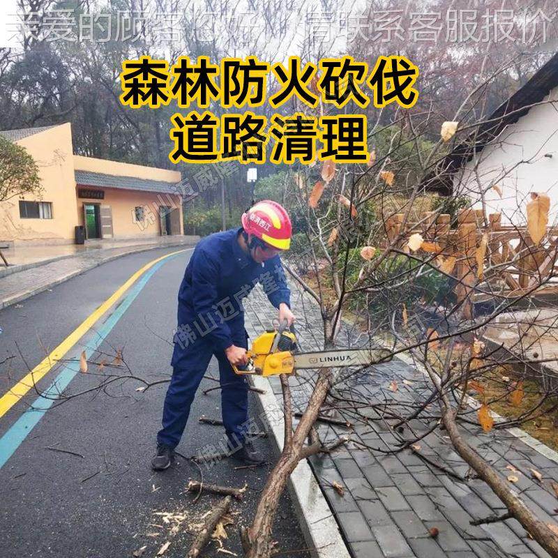 YD-78LIHA汽油锯林海YD机-78手持式I森林消N防伐木油锯户外砍树切,农机/农具/农膜,割灌机/割草机/油锯,淘宝优惠券,粉丝福利购,淘宝优惠卷