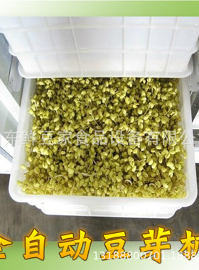 全自动芽苗菜机 多功能花生芽机恒温恒湿控制豆芽机厂家免费技术