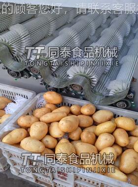 厂家新款自洗动土豆洗机连EBR续式 洗土清豆红薯设备 水土豆机器