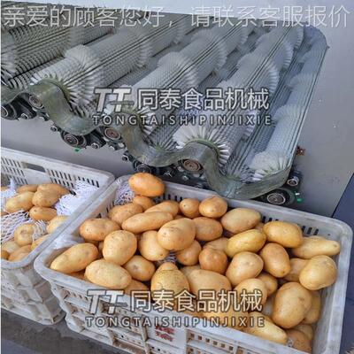 厂家新款自洗动土豆洗机连EBR续式 洗土清豆红薯设备 水土豆机器