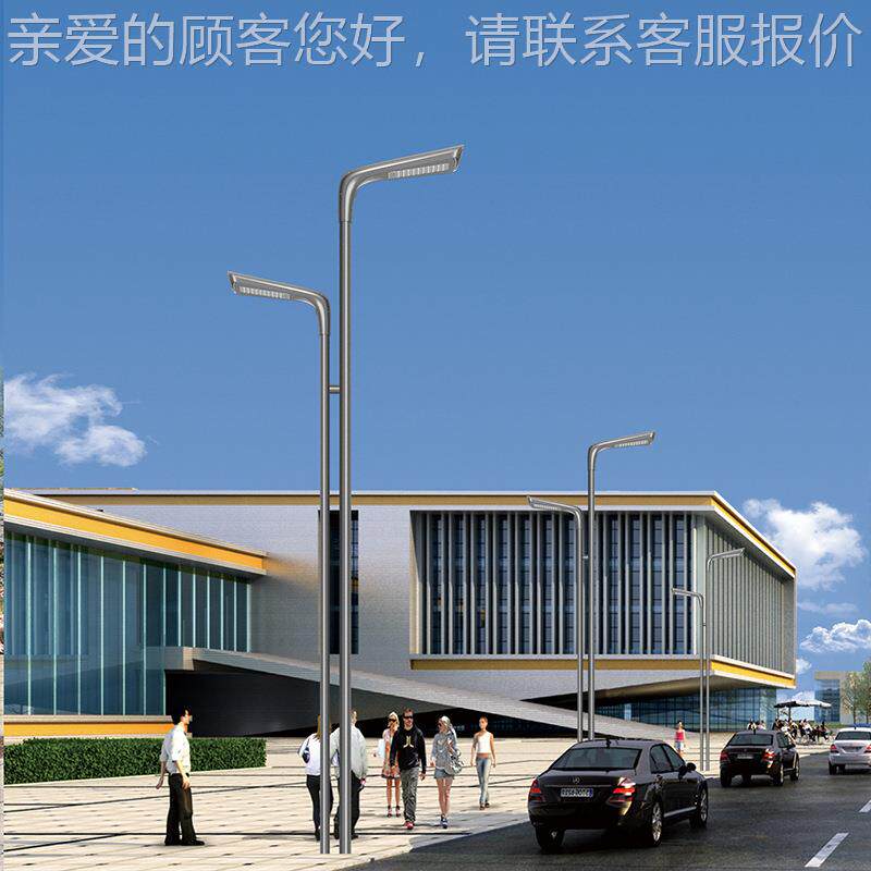 飞翔小双头高D低头异形式灯设飞翔计感欧LE庭院灯区公园飞翔路灯