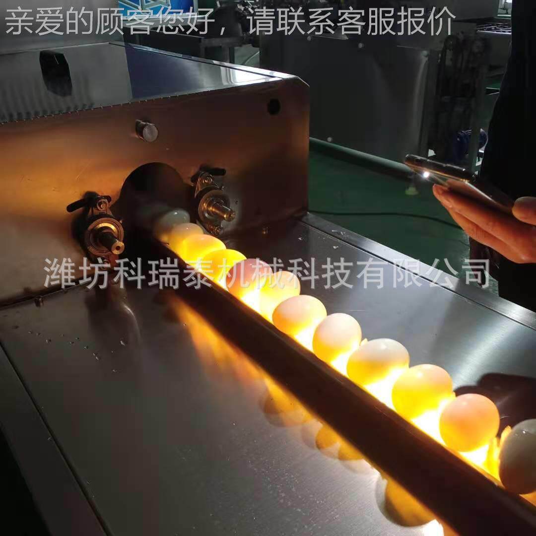 鹌鹑蛋洗预煮定黄机 小型鹑蛋商流水线鹌 用GVE不锈钢鹌清鹑蛋线