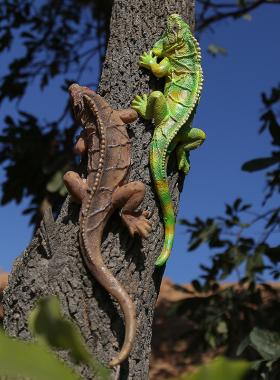 仿真蜥蜴装饰 爬行动物花园摆件庭院装饰 创意园艺蜥蜴挂件