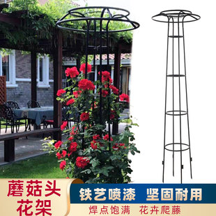 伞型花架铁线莲月季园艺铁艺爬藤架花柱花园蘑菇头阳台花柱花支架