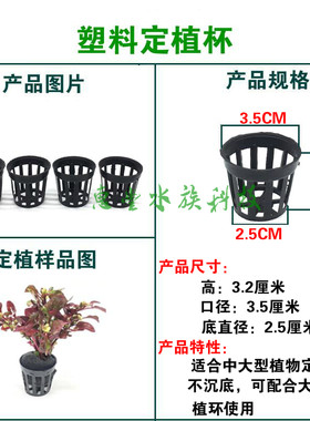 陶瓷水草定植环鱼缸造景定植种植环盆篮杯固定环弱酸过滤培菌滤材