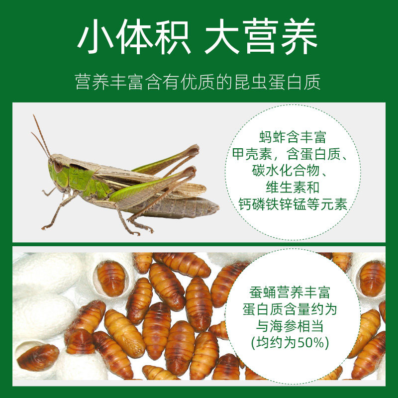 鸟用蚕蛹蚂蚱粉画眉鹩哥百灵点頦绣眼鸟食鸟饲料鸟用营养料100g