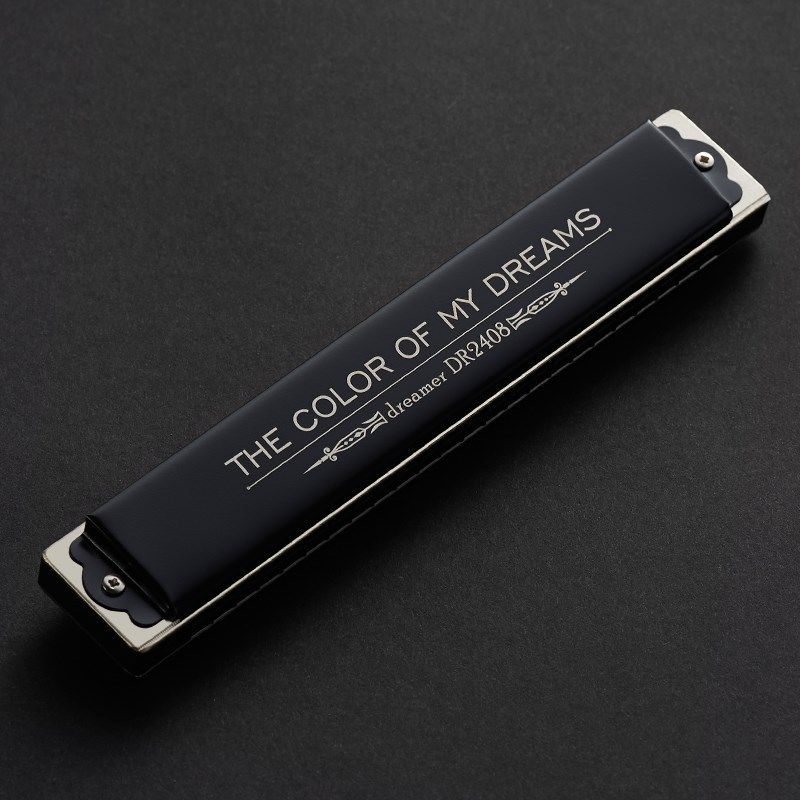 天鹅追梦人2408口琴初学者生成人男高端级专业演奏级24孔复音乐器