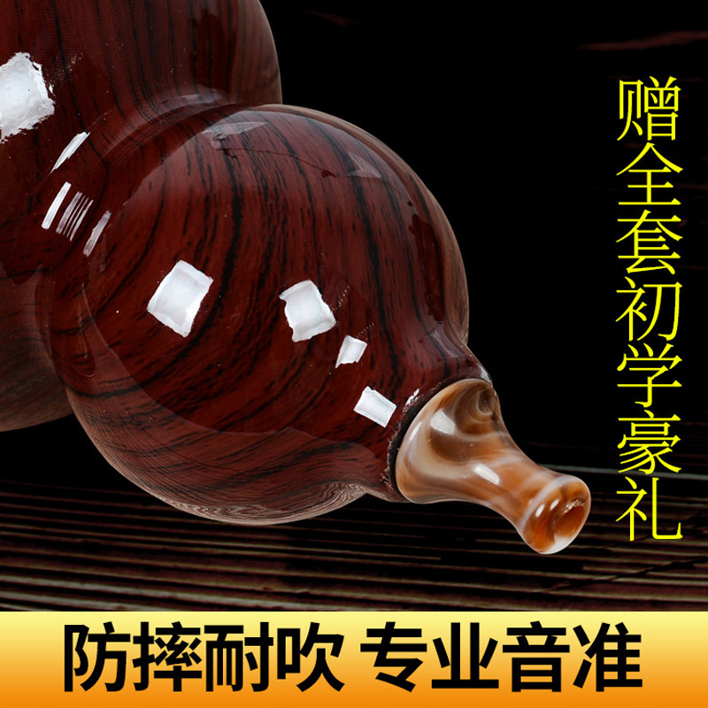民族葫芦丝初学者C调降B调初学儿童小学生入门专业演奏防摔乐器