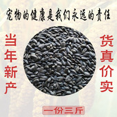 当年油葵花籽向日葵籽牡丹鹦鹉鸟食仓鼠零食鸽粮玄风小黑瓜子饲料