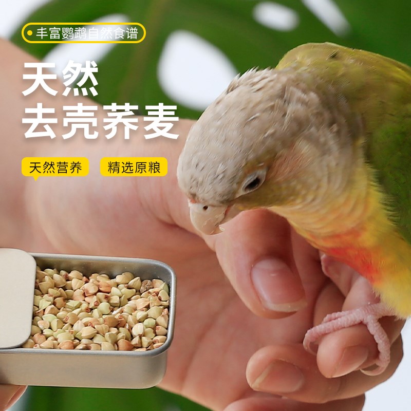 小太阳玄凤鹦鹉鸟粮无壳荞麦专用零食去壳荞麦米仁鸟食虎皮自配粮图片