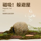 鱼小刚鱼缸磁吸躲避屋迷你鹦鹉繁殖罐产卵鱼虾窝躲避洞摆件耐用