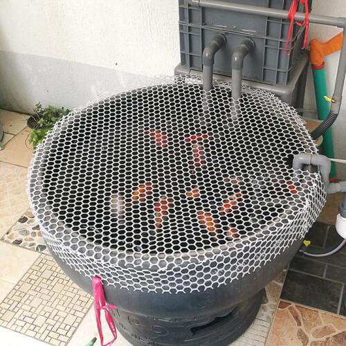 封窗网封阳台防掉塑料网格垫防坠网防猫跳窗拦楼梯护栏安全防护网