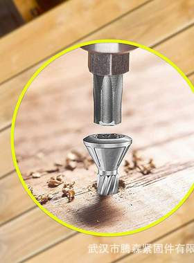 Decking Screw 不锈钢甲板螺丝 梅花槽露台木螺钉景观木栈道专用