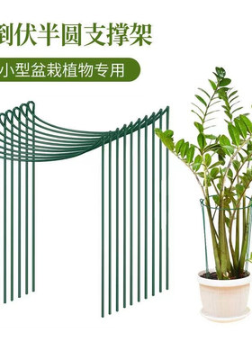 花架支撑杆护花架金钱树绣球龟背竹爬藤植物半圆护叶固定架防倒伏