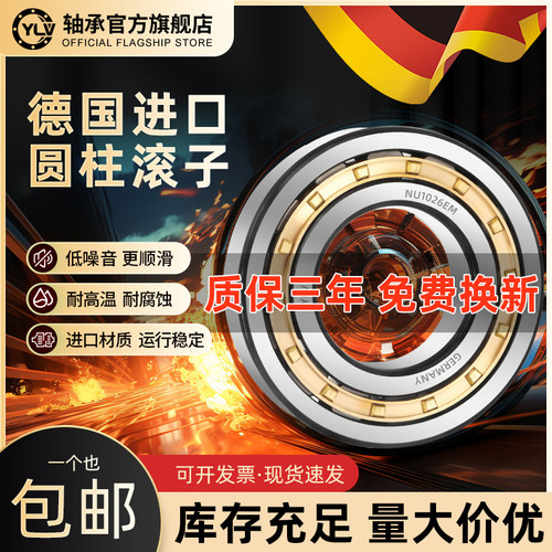 德国进口YLV圆柱滚子轴承RNU202 203 204 205 206 207 208 209EM