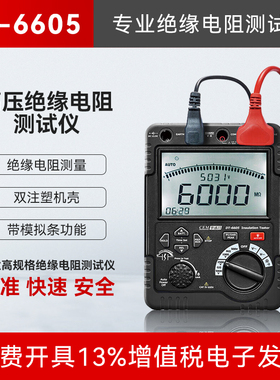 华盛昌CEM高压绝缘电阻测试DT-6605交直流电压测量绝缘表高精度