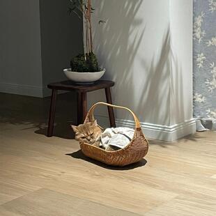 菜篮子猫窝四季通用宠物窝藤编猫床夏季透气编织窝金渐层猫咪用品