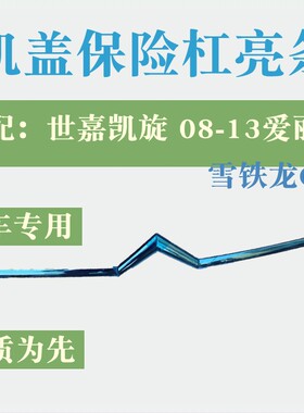 雪铁龙新爱丽舍凯旋世嘉中网人字亮条 前杠亮条 机盖亮条饰条