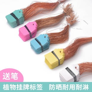 园艺标签彩色塑料吊签植物区分记号挂牌盆栽花卉育种防水系绳吊牌