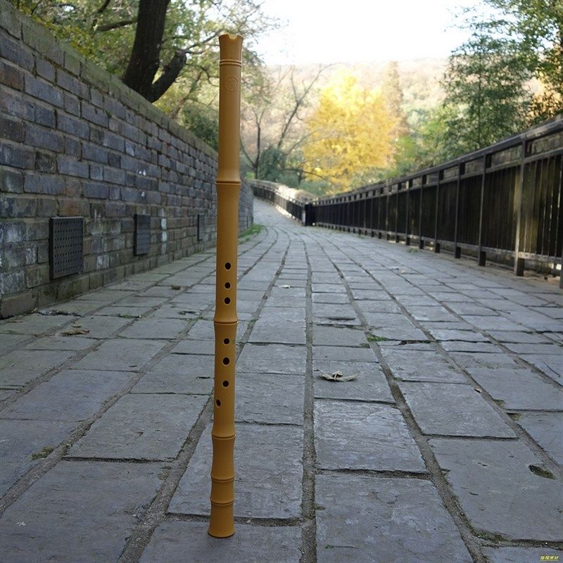 任箫南箫G调F调通口箫短箫合成箫便携箫树脂萧不霉不裂南萧八孔箫,乐器/吉他/钢琴/配件,箫,淘宝优惠券,粉丝福利购,淘宝优惠卷