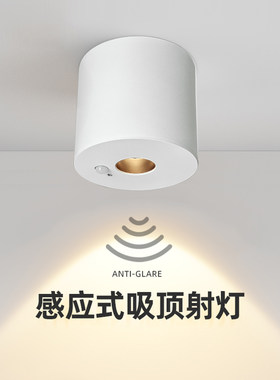 明体感应红外感应桶灯入户玄过道走廊免天灯吸顶