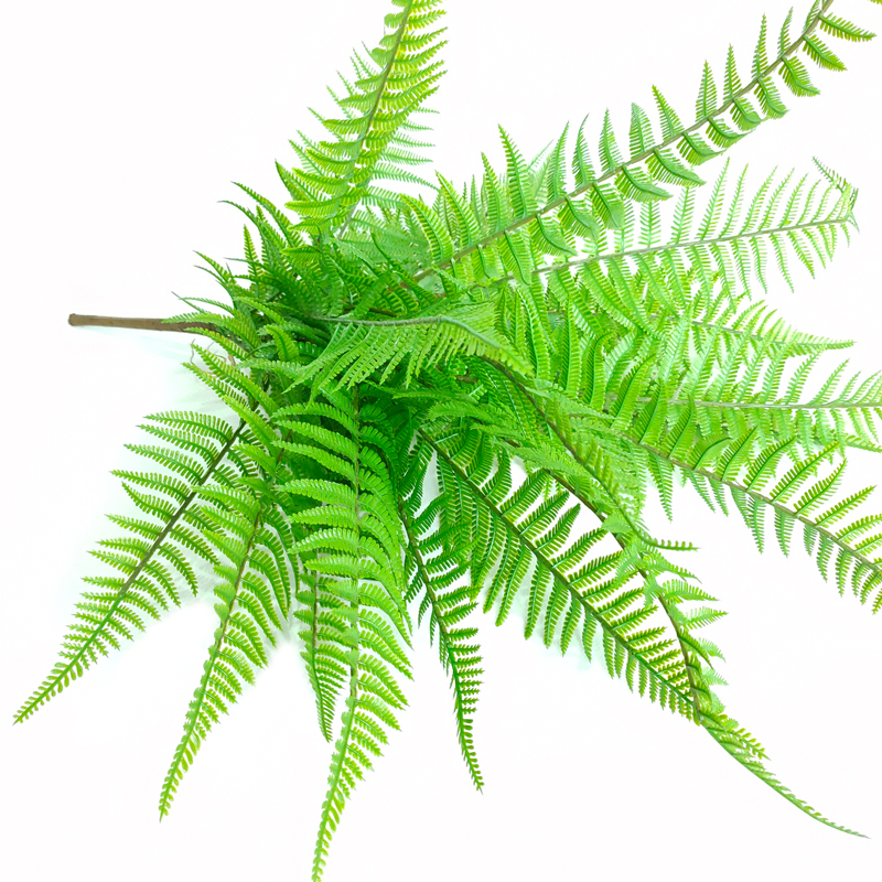 蕨类植物仿真绿植背景墙面橱窗婚庆装饰创意盆栽手感草大蕨叶