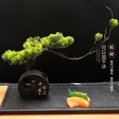 刺身摆盘装 盘 饰草菜品点缀冷盘意境创意海鲜姿造盘饰凉菜餐饮装