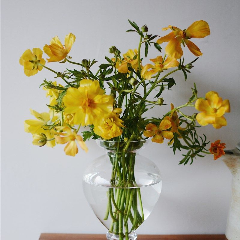 收集时光 u 古典脚瓶 水晶玻璃手工瓶 毛茛虞美人,家居饰品,花瓶,淘宝优惠券,粉丝福利购,淘宝优惠卷