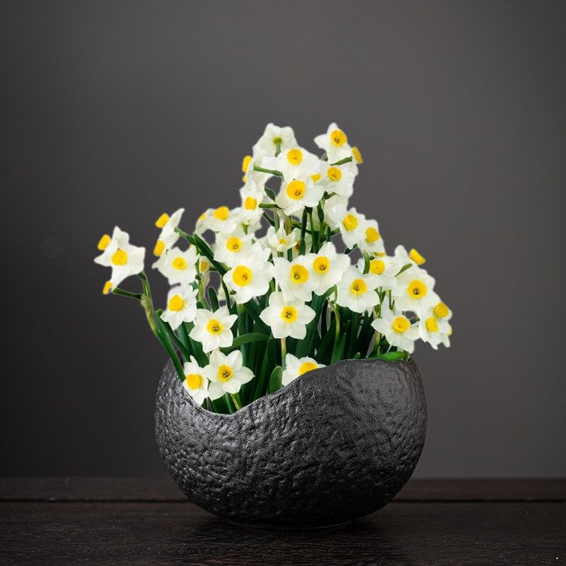 盆陶瓷无孔养鱼仿石头盆景盆创意大号水培铜钱草绿萝水仙的盆,家居饰品,花盆,淘宝优惠券,粉丝福利购,淘宝优惠卷