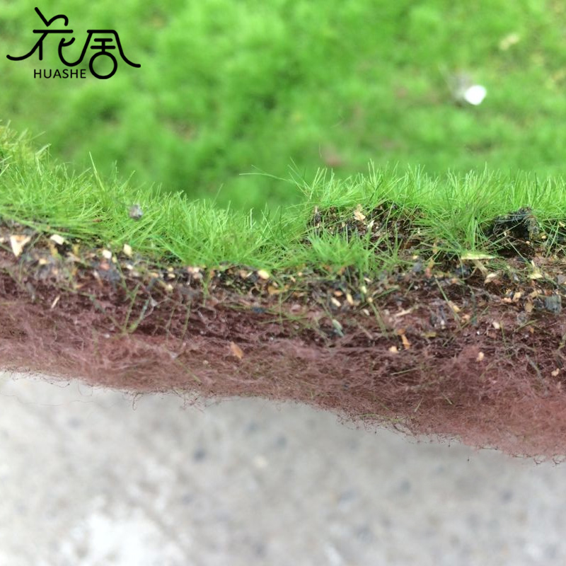 花舍优质仿真绿植草皮微景观草坪场景橱窗假苔藓青苔包造景装