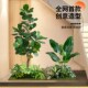 大型仿真绿植造景阳台景观布置橱门店装 饰室内下仿生
