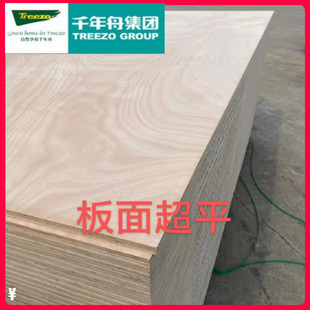 千年舟多层板胶合板三合板夹板实木家具楼板搁板海洋工程防潮板材