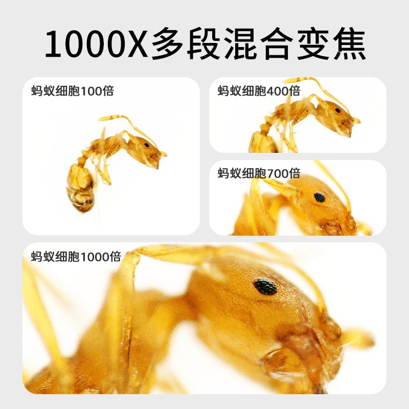儿童电子显微镜中小学生专用专业级光学手持便捷高倍可看细胞生物