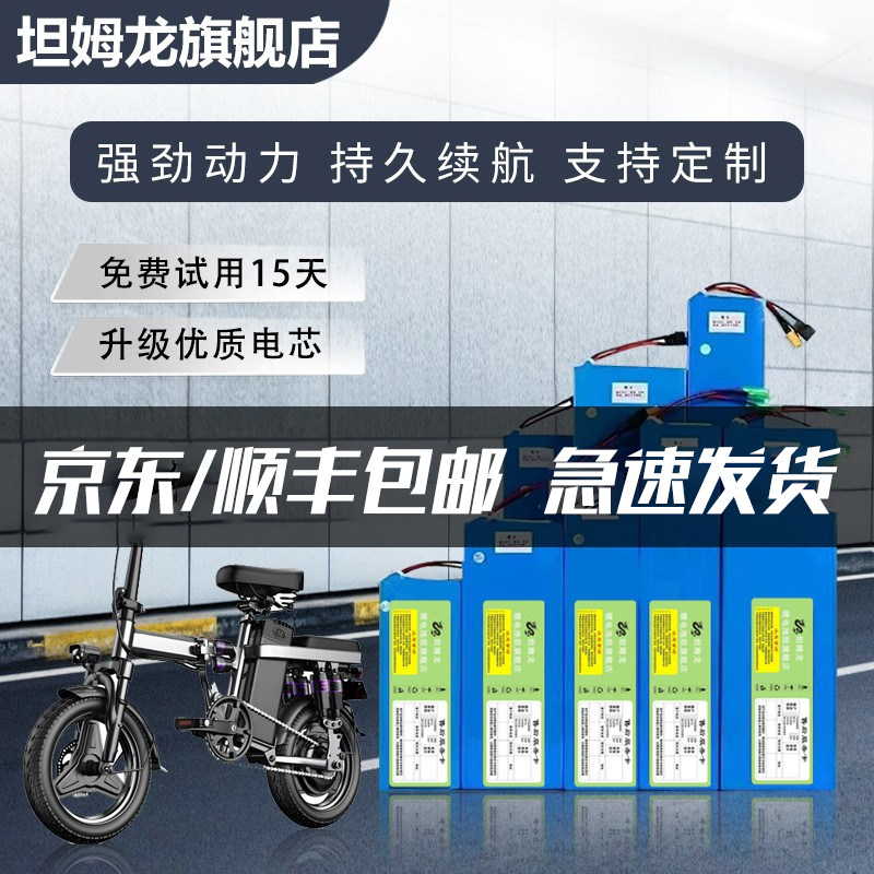 电动车锂电池48v电瓶车锂电池36v图片