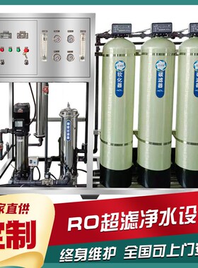 工业级双级反渗透设备 食品级水处理设备 水肥一体机专用反渗透