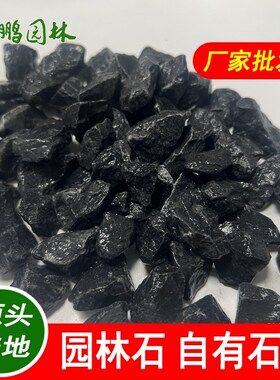 胶粘石黑色洗米石 园林园路铺装用水洗石 英鹏石业加工定 制