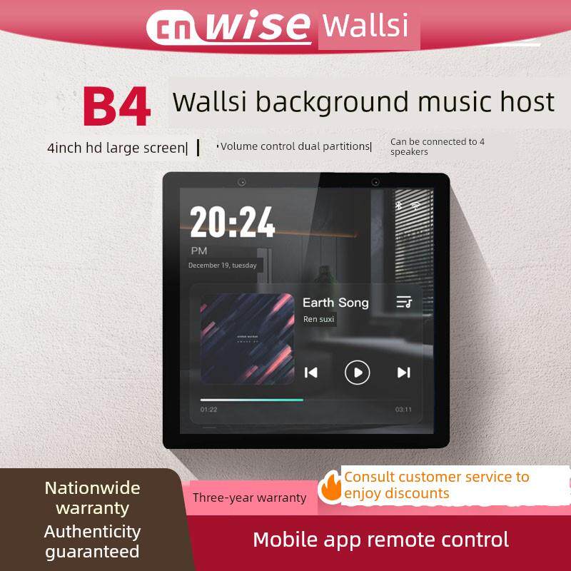 大功率家庭酒店背景音乐主机智能语音控制系统吸吊顶喇叭播放器