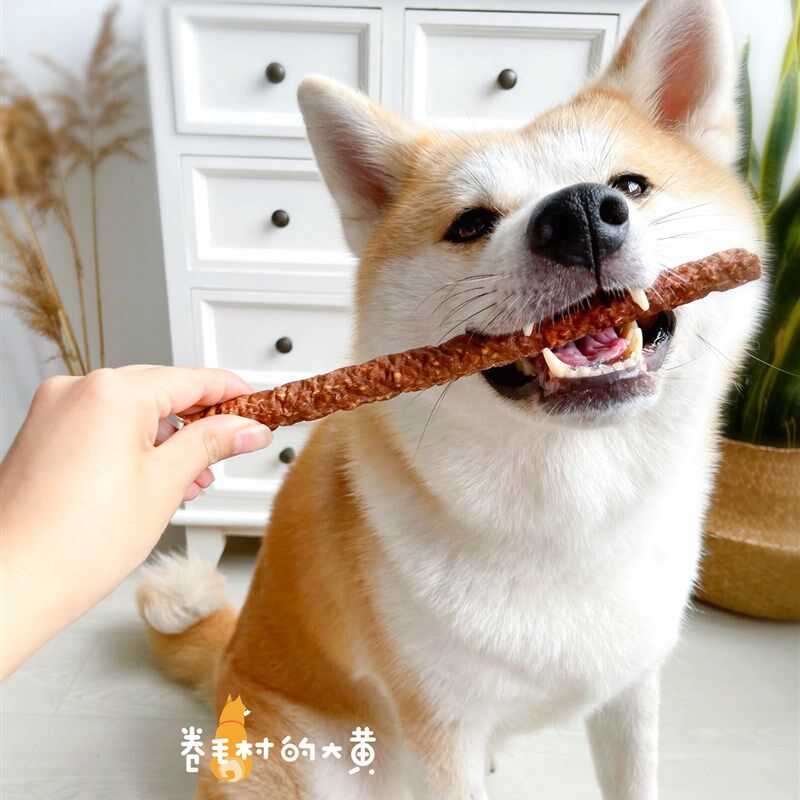 爱多多牛筋棒劲脆狗狗磨牙棒洁齿洁牙耐啃宠物奖励零食牛肉芝士棒