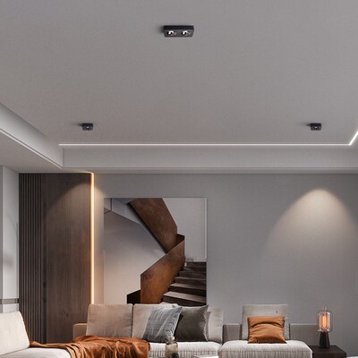 至御薄款双头明装射灯cob无主灯客厅卧室书房天花盒子斗胆灯040