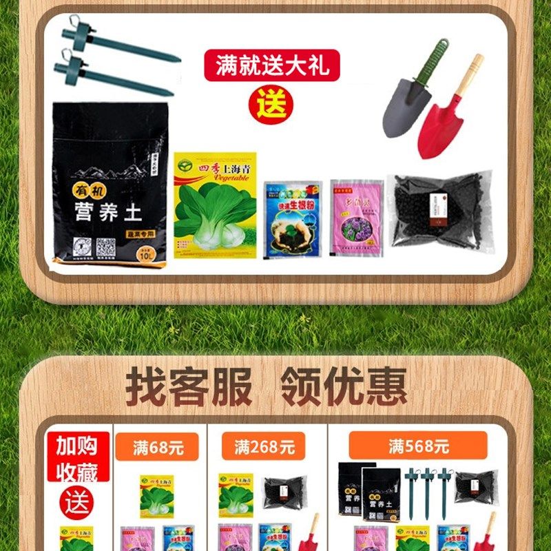 阳台长方形带轮种植箱种菜专用箱万向轮户外露台庭院塑料花盆花箱,鲜花速递/花卉仿真/绿植园艺,花盆,淘宝优惠券,粉丝福利购,淘宝优惠卷