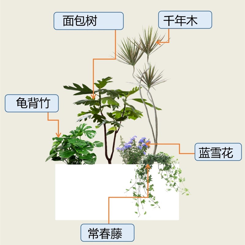 室内外大型绿植组合盆栽真植物造景花箱套组阳台场景网红橱窗景观