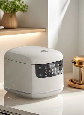 欧规英电饭煲家用饭煲规美规电饭煲2LMini 多功能rice cooker迷你