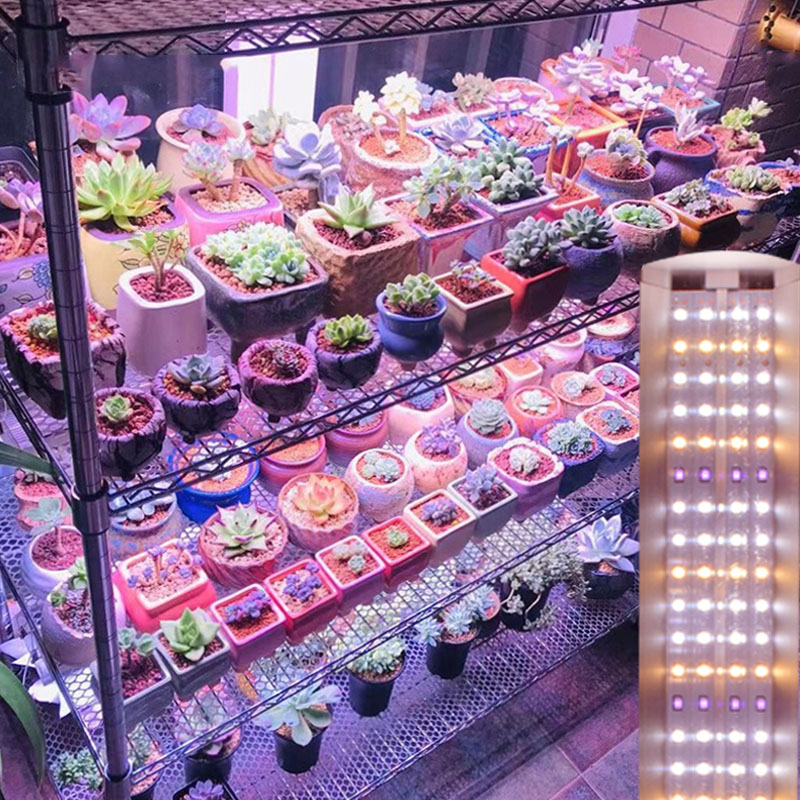 植物补光灯多肉专用灯上色防徒全光谱仿太阳光家用花卉led光照灯